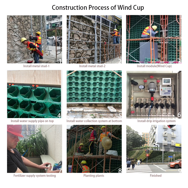 Wind Cup